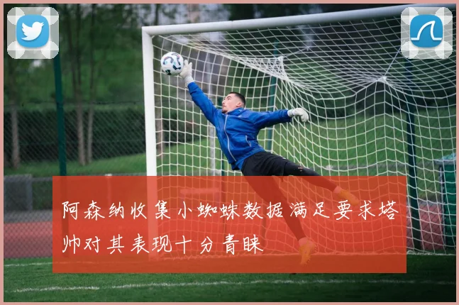 阿森纳收集小蜘蛛数据满足要求塔帅对其表现十分青睐